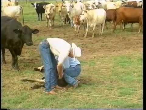 Texaner der tschechischen Vorfahren haben interessante Akzente
