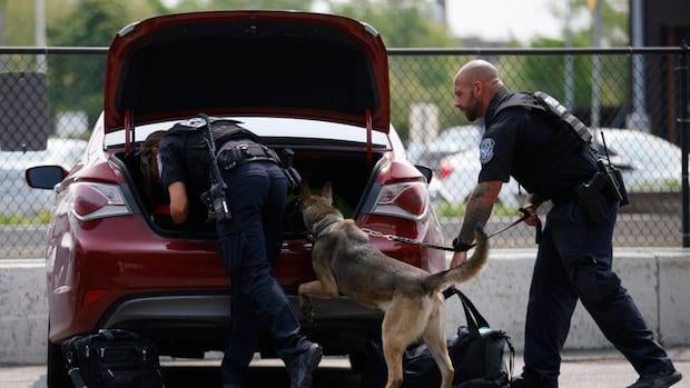 Fentanyl -Anfälle sind an der nördlichen Grenze der USA - aber Kanada ist immer noch ein sehr kleiner Spieler