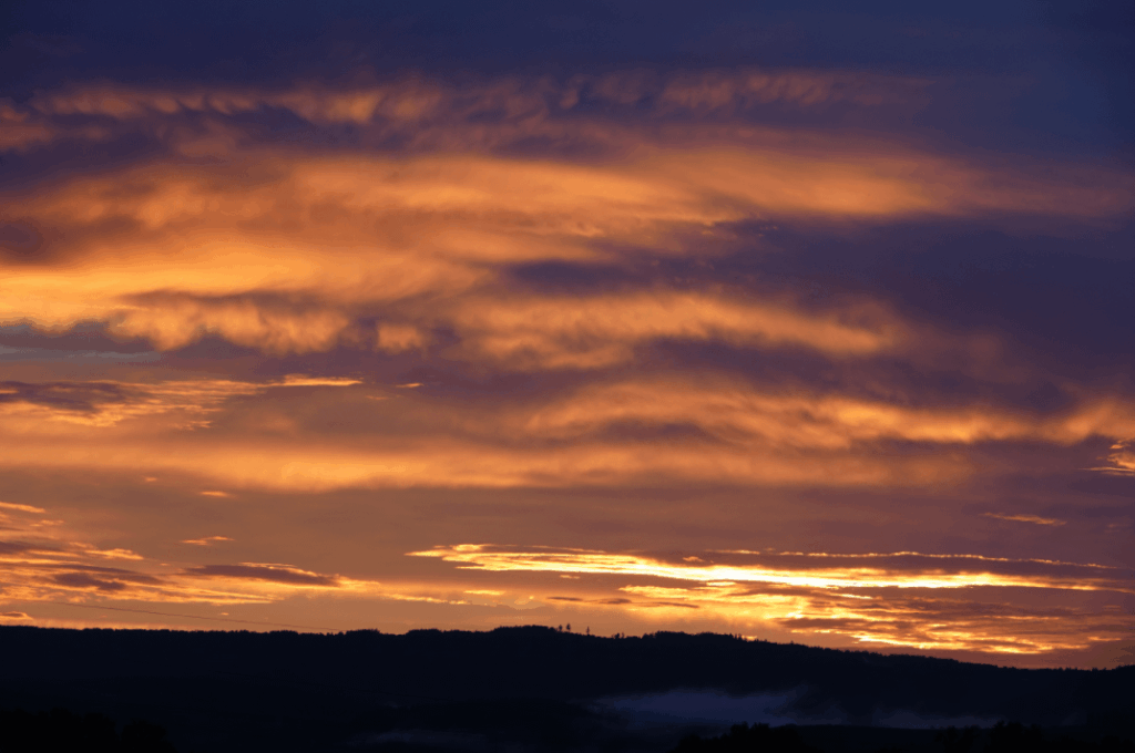 Sonnenuntergang über dem Wald, Deutschland.