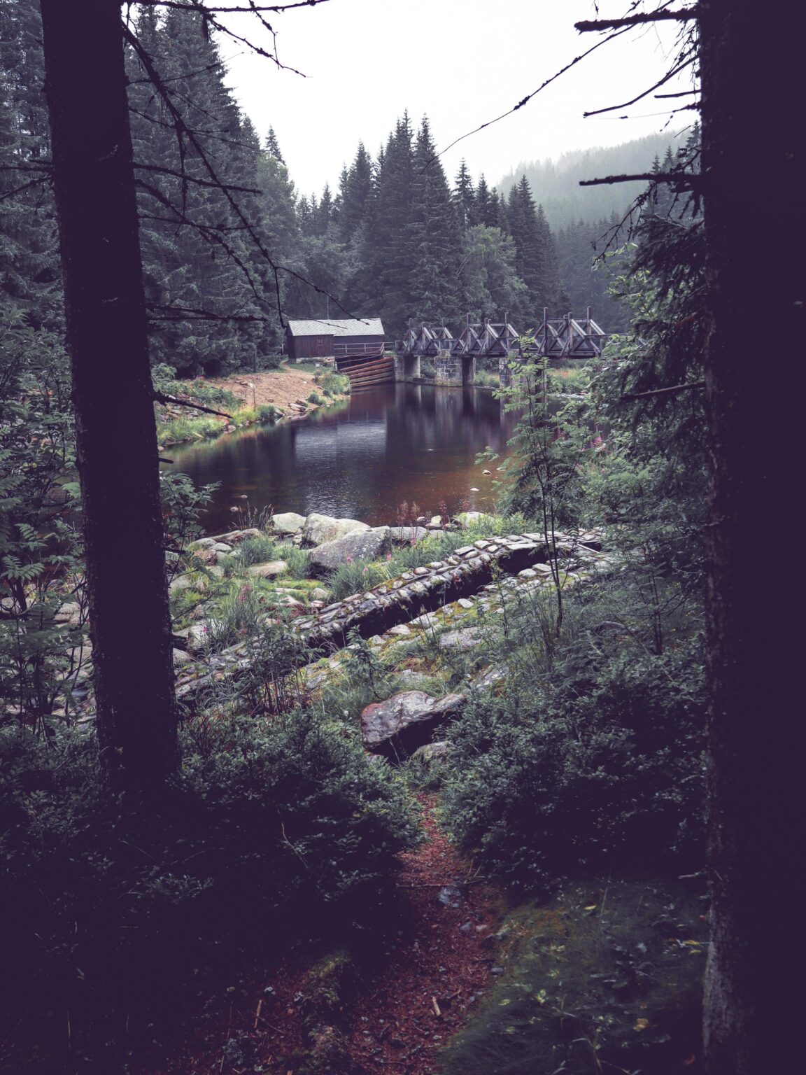 Im Wald
