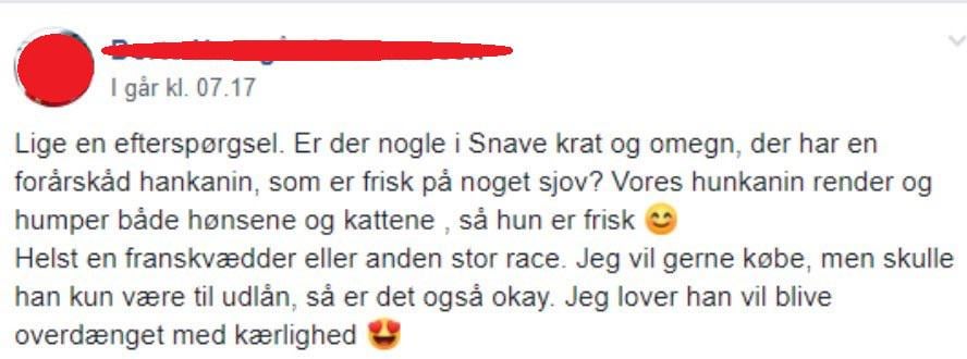 Gibt es einige freche männliche Kaninchen in der RBAVE und in der Umgebung auf der Linie?