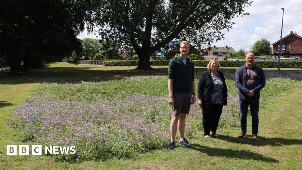 Wildblumen, die für £ 75 als Rat gepflanzt wurden, zitiert £ 2k