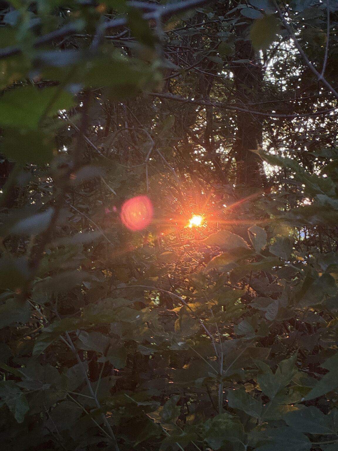 Wie fühlen Sie sich dieses Bild?