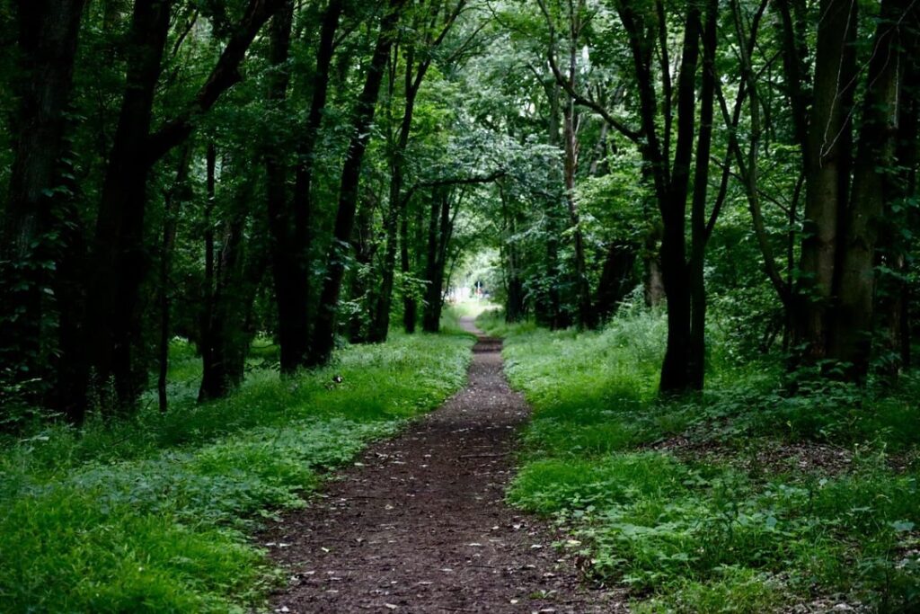Heute einen Spaziergang genießen
