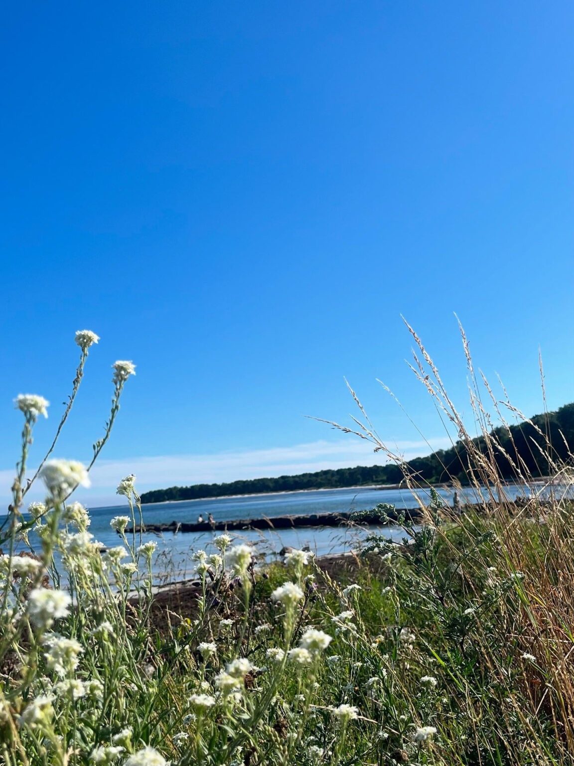Sommerferien auf Bornholm (eine dänische Insel)