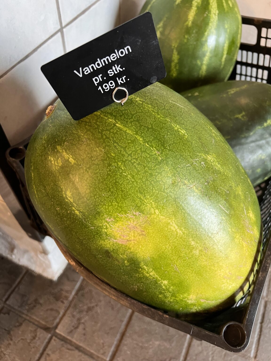 An den CEO Watermelon: Es gibt Levels für dieses Spiel