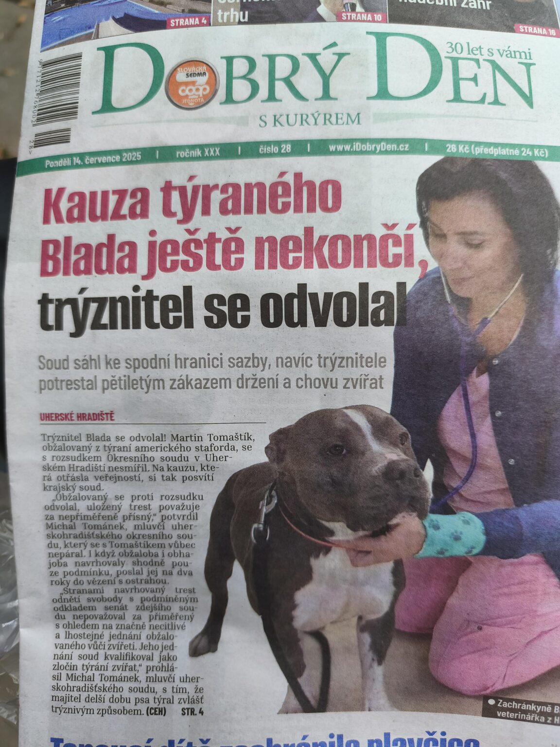 Wenn Sie sich daran erinnern, wie es einen Fall mit dem missbrauchten Hund gab, der ihn keinen Monat fütterte ... also legte der Typ Berufung ein
