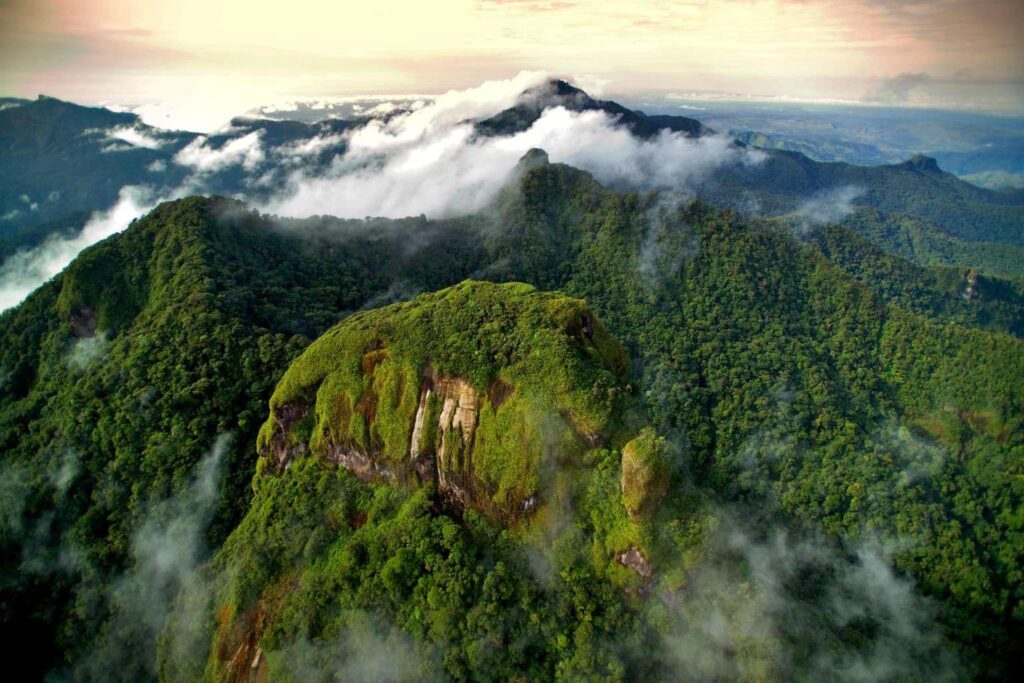Der Altos de Campana Nationalpark, Panama