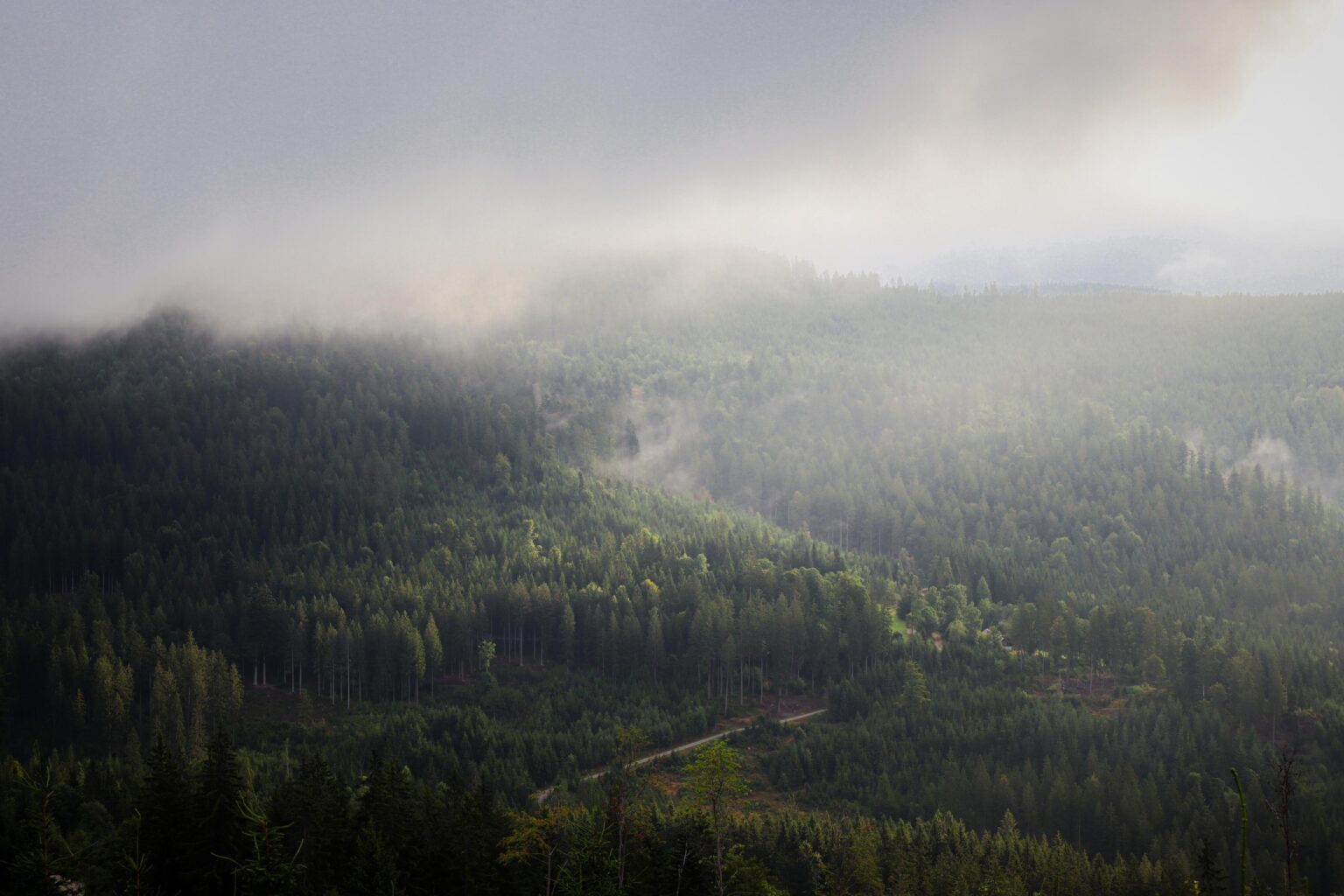 Sunshine after rain ( Bayerischer Wald, Bavaria, Germany)