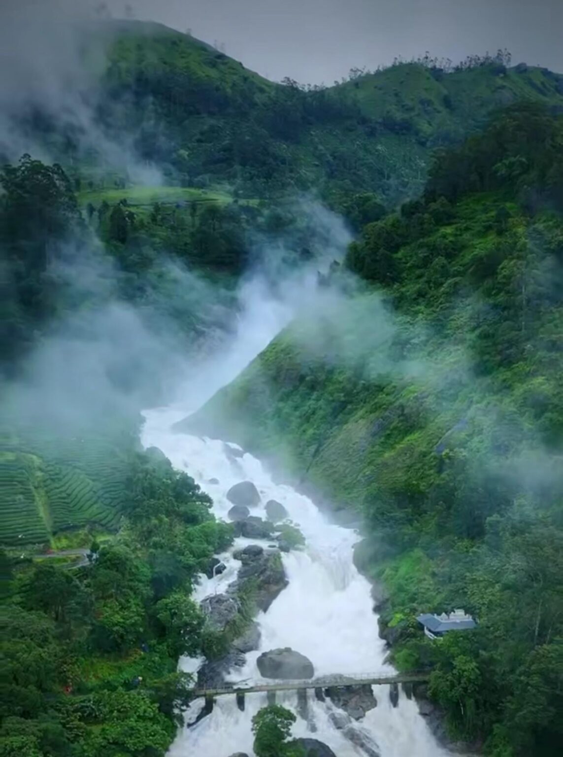 Actukadu fällt in Kerala, Indien. Actukadu fällt in Kerala, Indien.