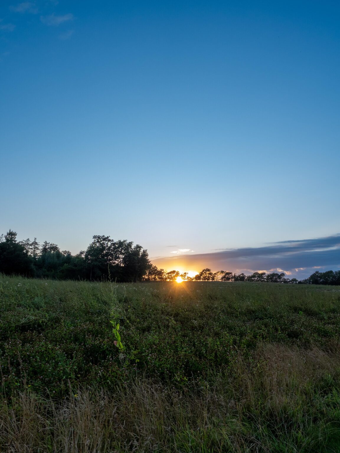 Ein Sonnenuntergangsfoto von meiner letzten Wanderung