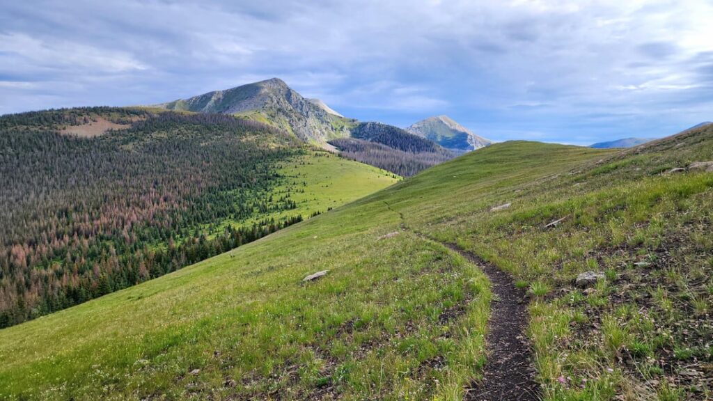 Eine Handvoll aus der Pecos Wilderness in New Mexico
