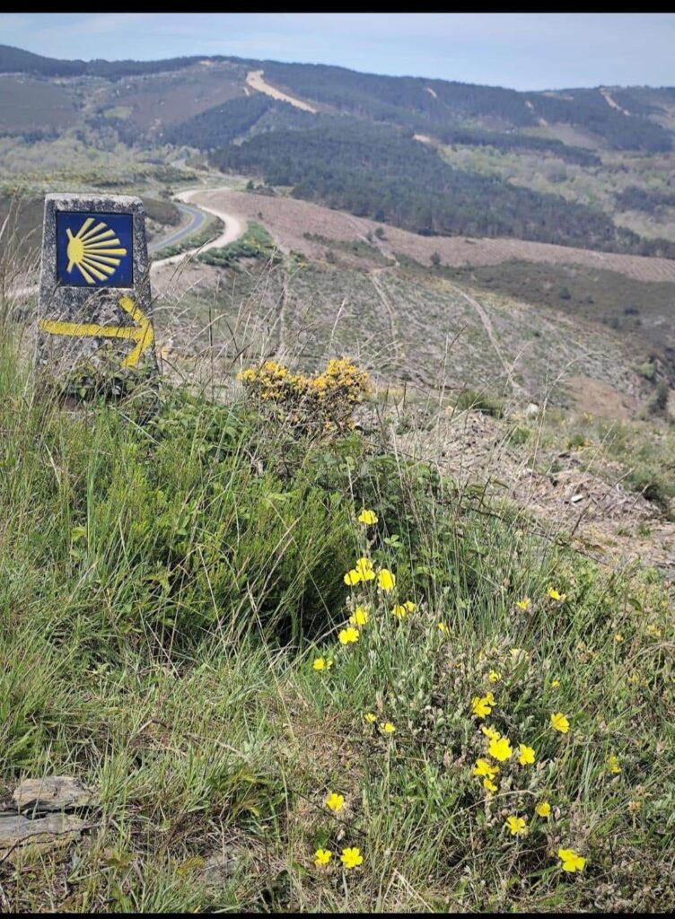 Per aus der Zahlung, Spanien🇪🇸 [OC]