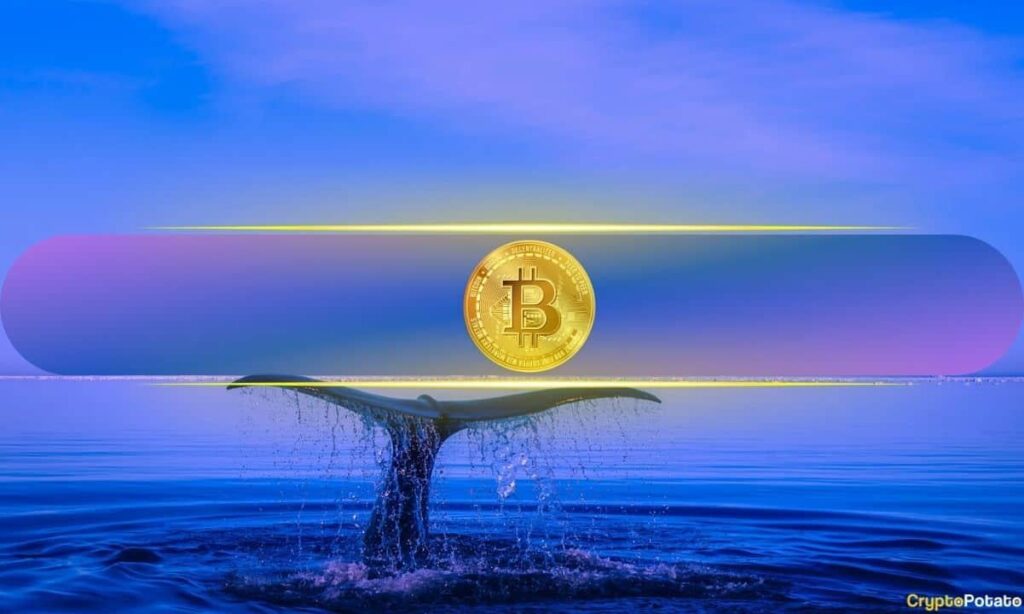 Market U-Turn lässt Crypto Gambler 334 m $ ärmer beim 3-stündigen Absturz