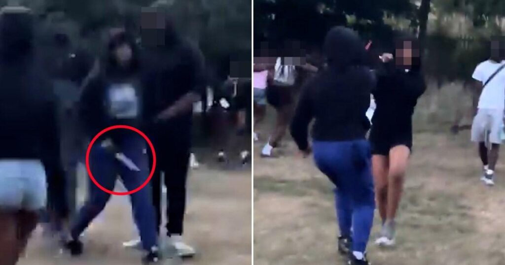 Der Angreifer zieht riesige Messer und Aussagen bei Young Woman im London Park aus