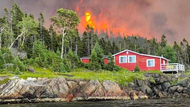 Waldbrände zeigen, warum CBC das Mandat der öffentlichen Sicherheit benötigt, sagt McGill Research Center