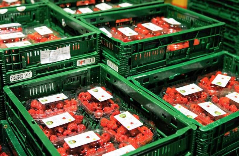Korruption im privaten Umfeld: Wie die Qualitätsmanager der großen Einzelhändler in Rumänien bestochen wurden, um Waren zu erhalten. Die für jede Palette mit Obst oder Gemüse gesammelte Menge