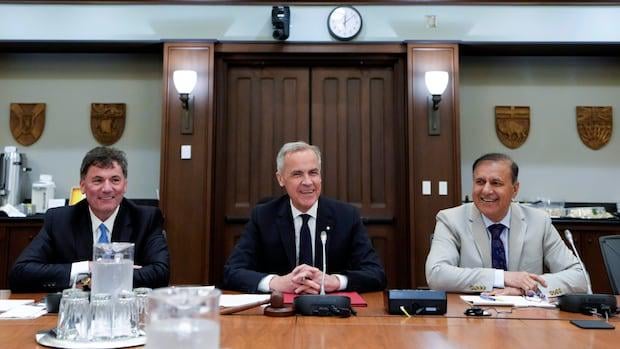 Zu viele Regeln? Carney Orders Überprüfung aller staatlichen Vorschriften