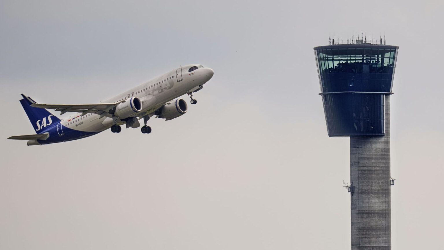 Autobesitzer kehren vom Urlaub nach Hause zurück, um Teller zu schneiden