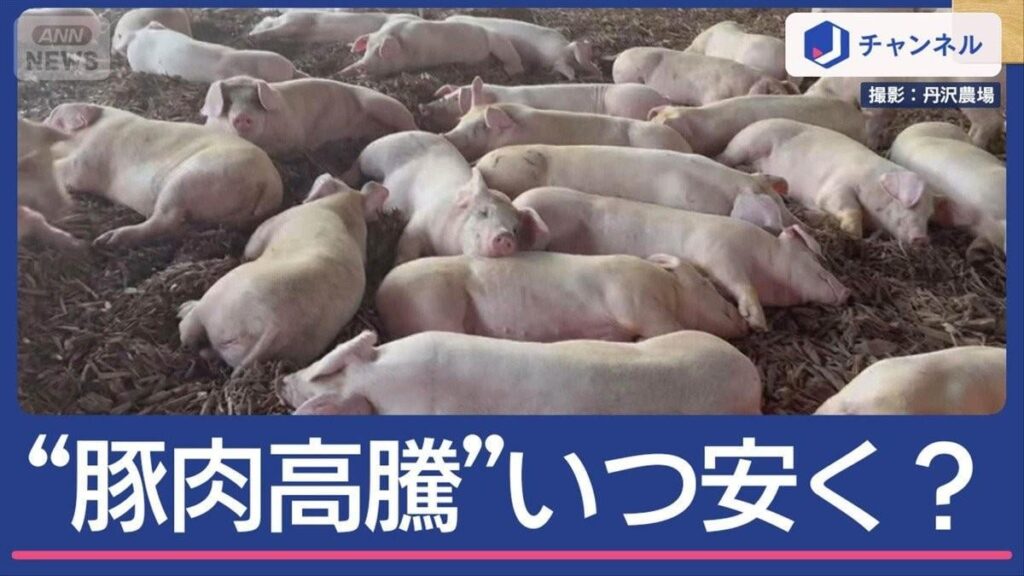 Tonkatsu und Shabu -Shabu -Restaurants schreien: Inländisches Schweinefleisch zum „höchsten Preis“ – Wann wird billiger? Tonkatsu und Shabu -Shabu -Restaurants schreien: Inländisches Schweinefleisch zum "höchsten Preis" - Wann wird billiger?