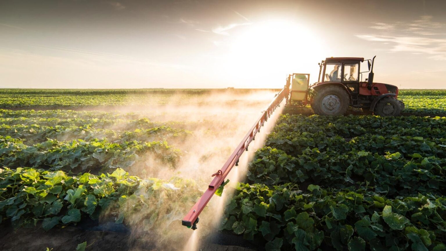 Die chemisch -abhängige Farm hat zur Hölle geplagt, um