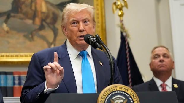 Dies ist der Gerichtsverfahren, der die meisten Trumpftarife kniefen könnte