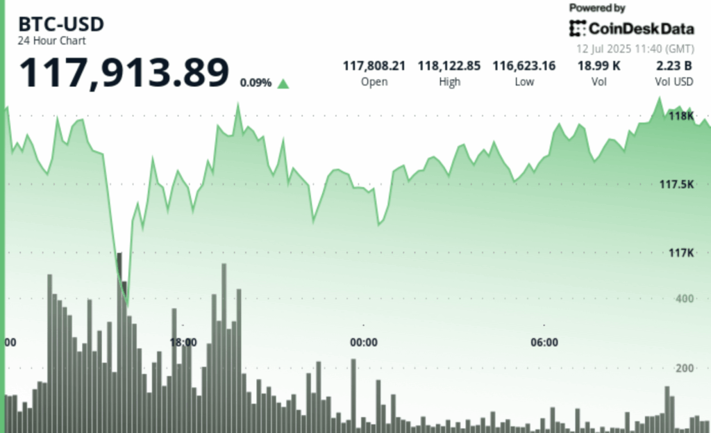 Bitgewise CIO prognostiziert, dass Bitcoin 200.000 USD überschreiten wird
