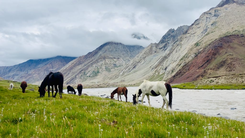 Zanskar, Indien