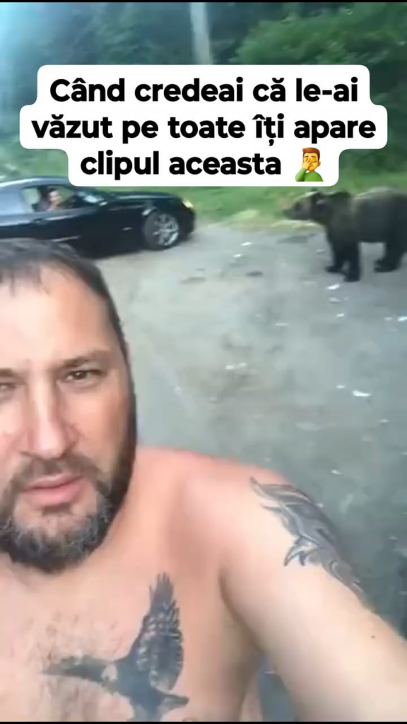 Eine weitere "schöne" Kopie in der Kategorie Idiot