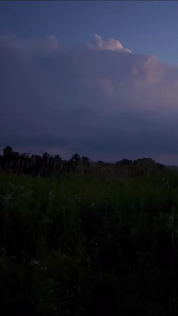 Glühwürmchen in der Abenddämmerung mit einem Sturm in der Ferne, NY