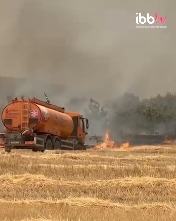 Immteams gehen in das Waldbrand in Tekirdağ şarköy ein