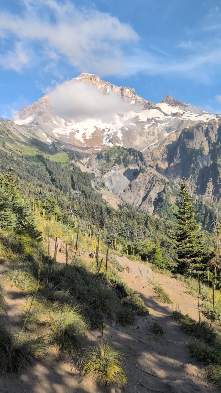 Mount Hood tritt auf der Wanderung zu McNeil Point in Sicht.
