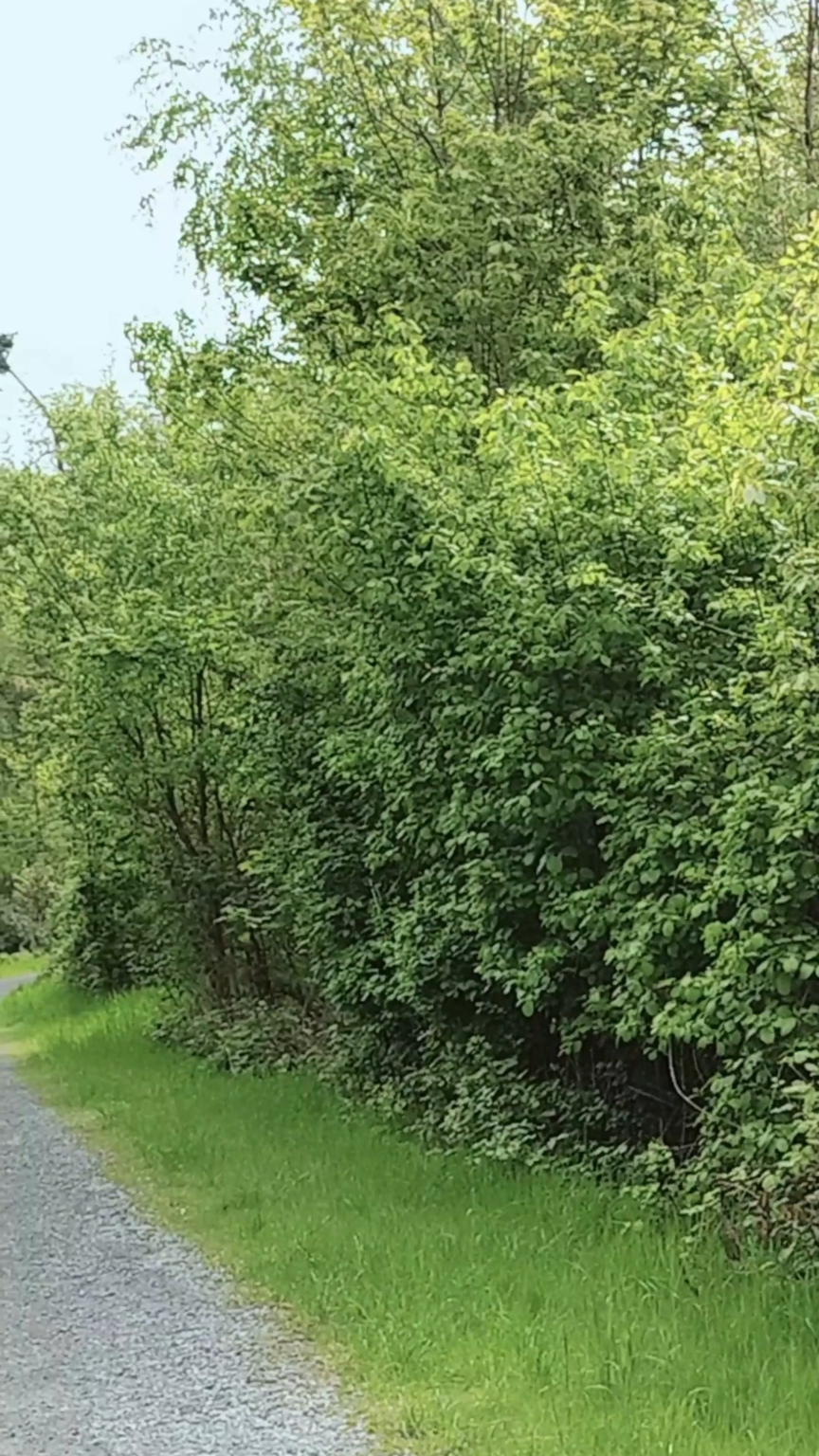 Ein Grund zu leben.