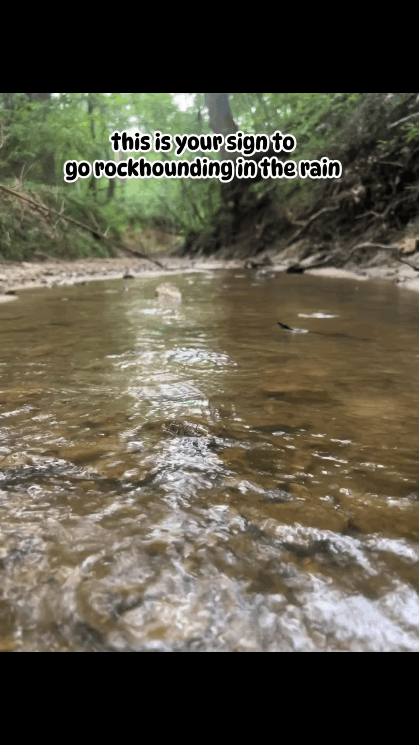 Regentages Achatjagd in Arkansas