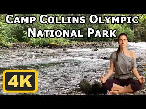 Beruhigender Bach in Washington Wilderness 4K - Naturtöne für Schlaf- und Entspannungslager Collins