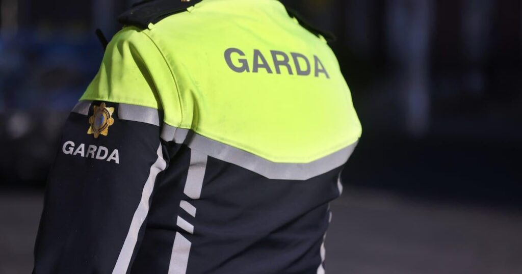 Mann, der von einer Bande in Tallaght gewalttätig angegriffen und teilweise ausgezogen wurde