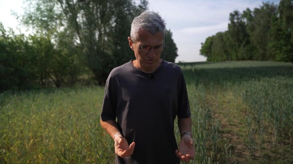 Die Natur verschlechtert sich ständig - jetzt nimmt die private Angelegenheit den Fall selbst, um zur Rettung zu kommen