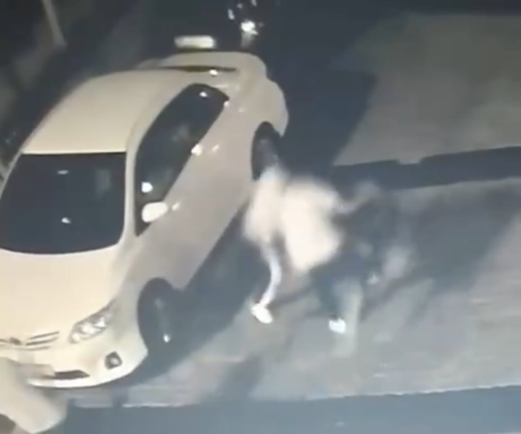 16 -Jahr -alter junger Mann in Istanbul wurde die Motorradreparatur in der Debatte durch ein Doner -Messer getötet.