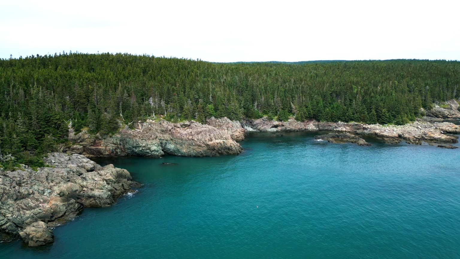 Die schöne Küste von Maine