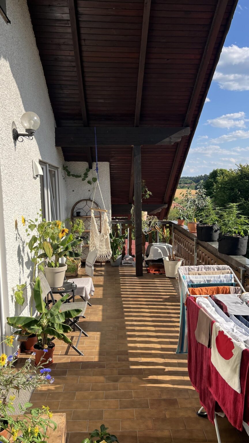 Erster Sommer auf unserem Balkon. Erster Sommer auf unserem Balkon.
