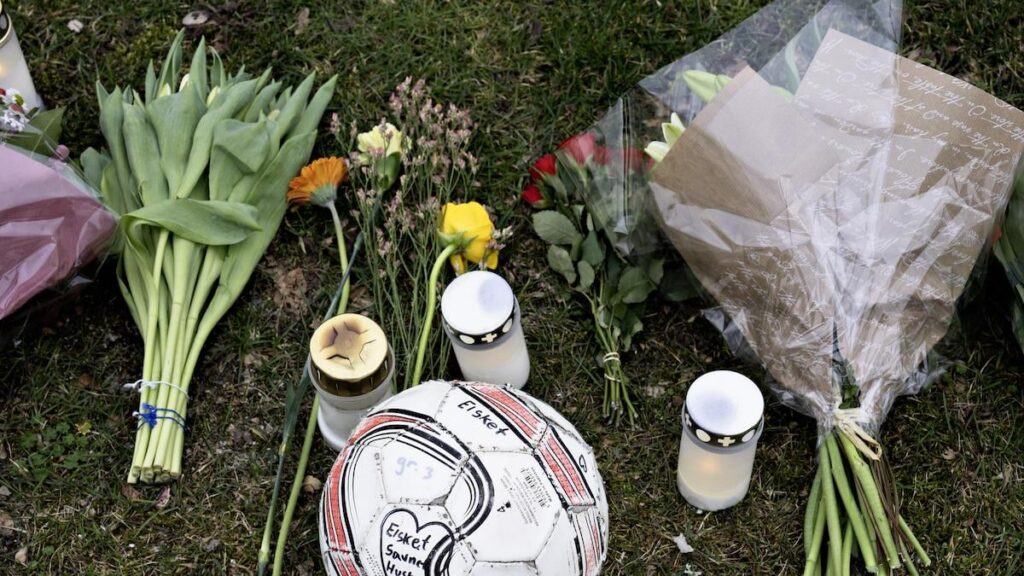 Der 19-Jährige wird wegen Mordes in Hjallerup zu 12 Jahren Gefängnis verurteilt