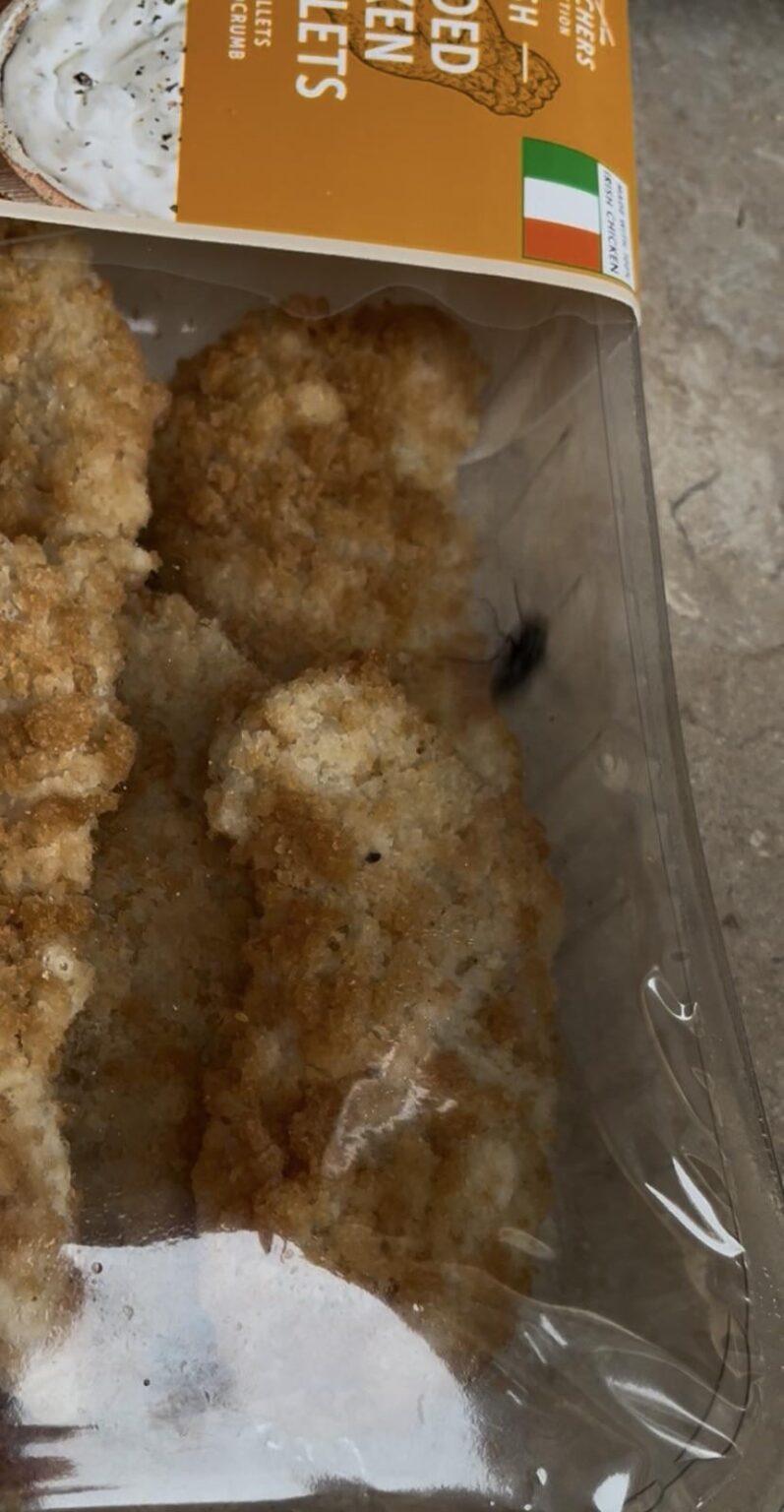 Ich habe heute etwas zusätzliches Protein in meinem Aldi -Huhn bekommen Ich habe heute etwas zusätzliches Protein in meinem Aldi -Huhn bekommen