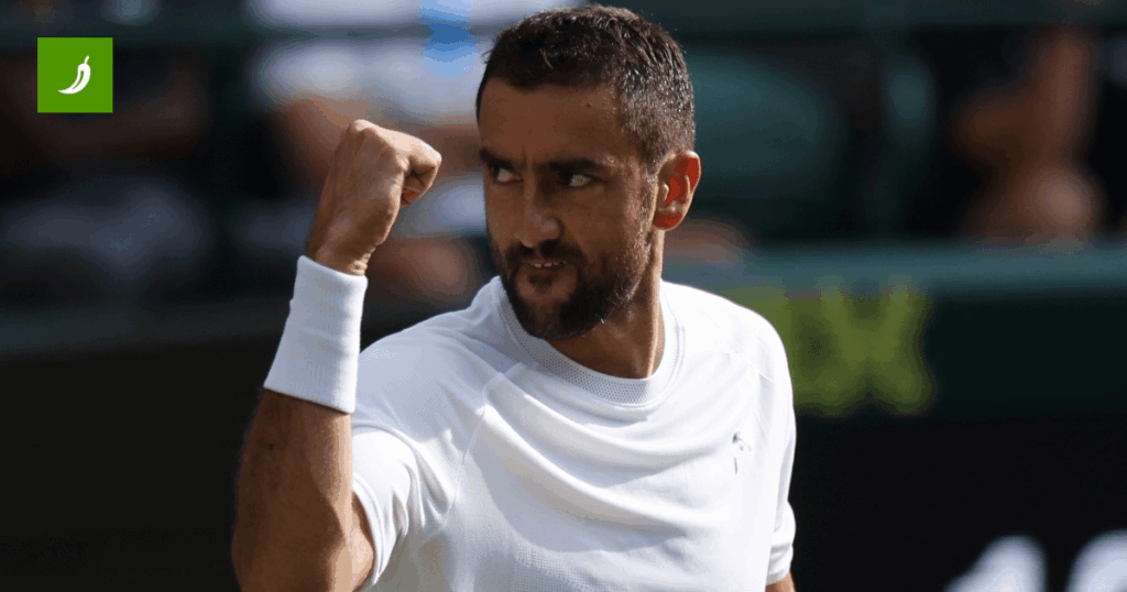 Cilic schlug den vierten Spieler der Welt in der zweiten Runde von Wimbledon