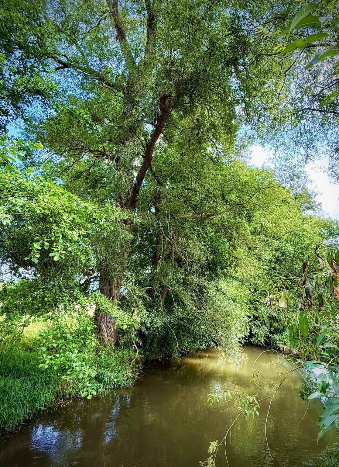 Flussufer