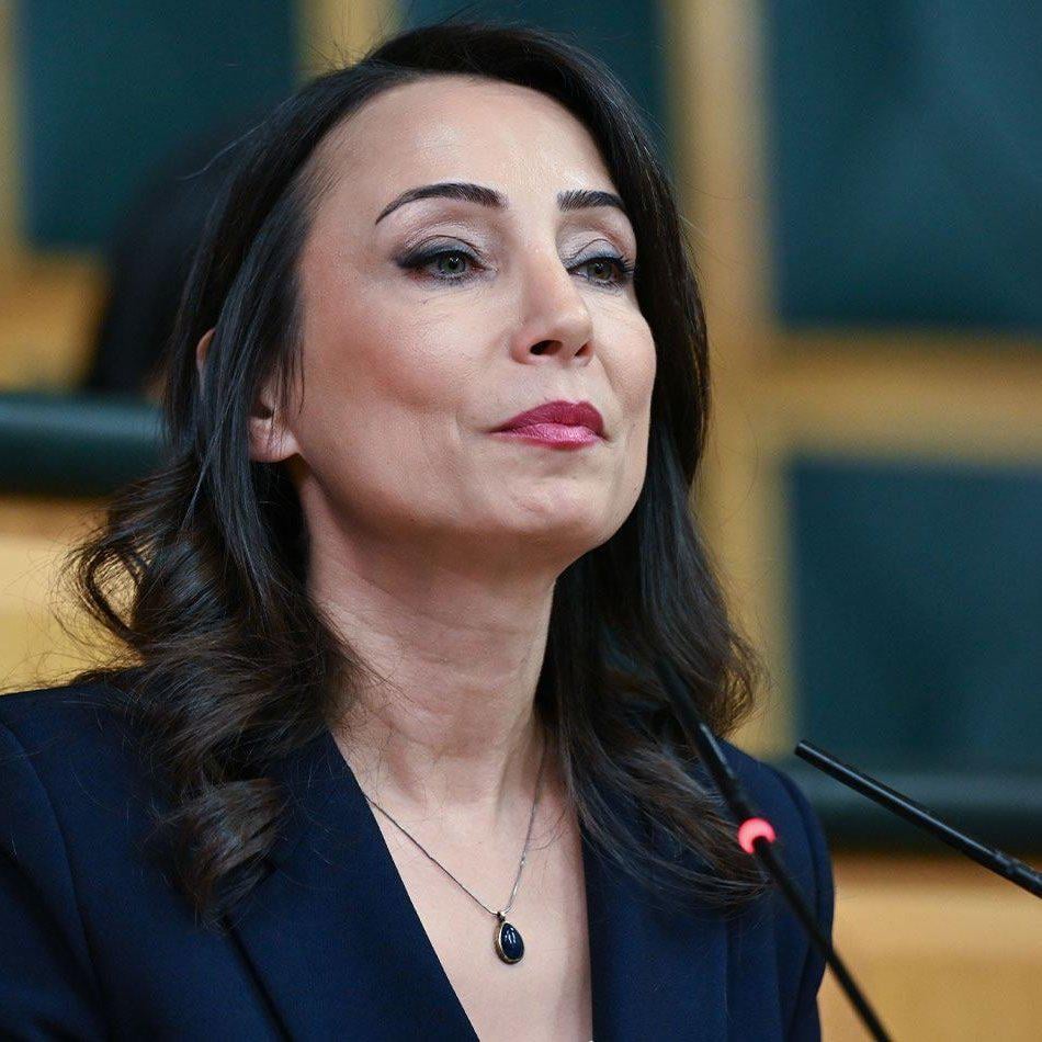 Dem Party Co -Chairman Tülay Hatimoğulları: „Die Organisation möchte, dass Öcalan frei ist. Sie benötigen es.“