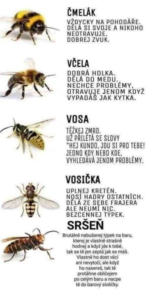 Jeder weiß ...