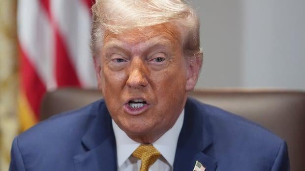 Trump sagt, er werde Kupferimporte 50% Tarif auferlegen | CBC News