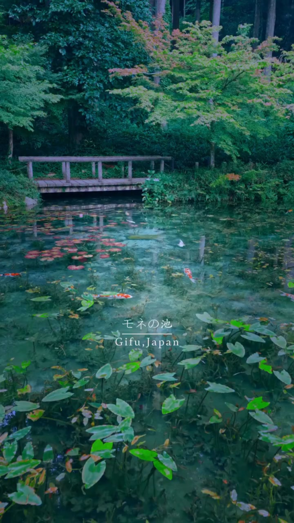 Monets Teich, Gifu, Japan