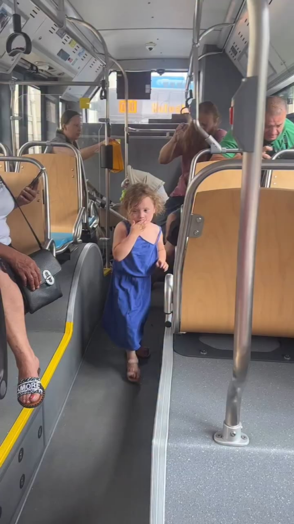 Ostrava -Inspektoren gegen schwarze Passagiere. Es tut mir leid für diese Kinder