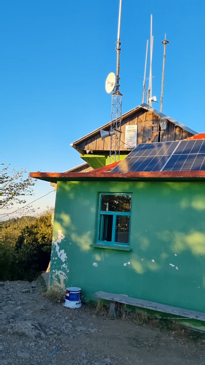 Voller Grün bei Sonnenuntergang